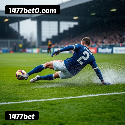 Requisitos do APK da 1477bet para Android