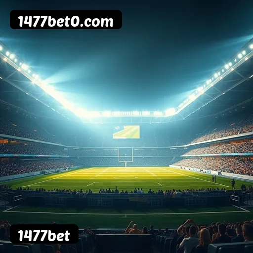 Estatísticas 1477bet novembro 2024 - 87 mil jogadores ativos, R$47M pagos, RTP 96.52%